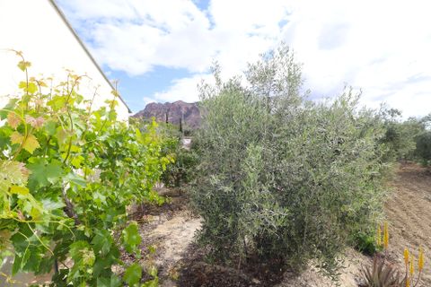 Landejendom i Velez-Blanco, Almeria, Velez-Blanco - € 115.000 | Ref: 3018-CH - foto 16